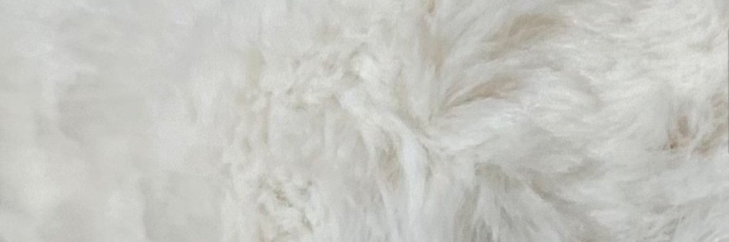 gochinyan's profile banner image