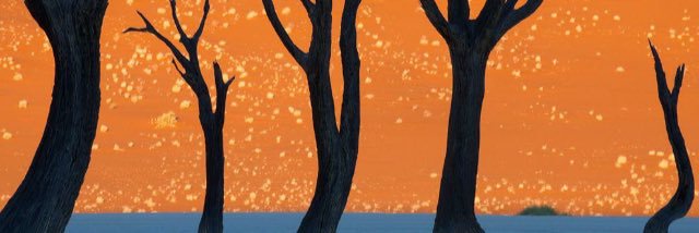 masibago's profile banner image