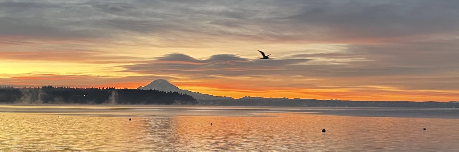 DavidStober's profile banner image