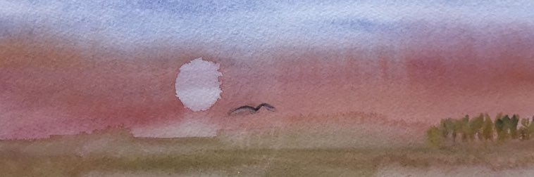 CapronMartine's profile banner image