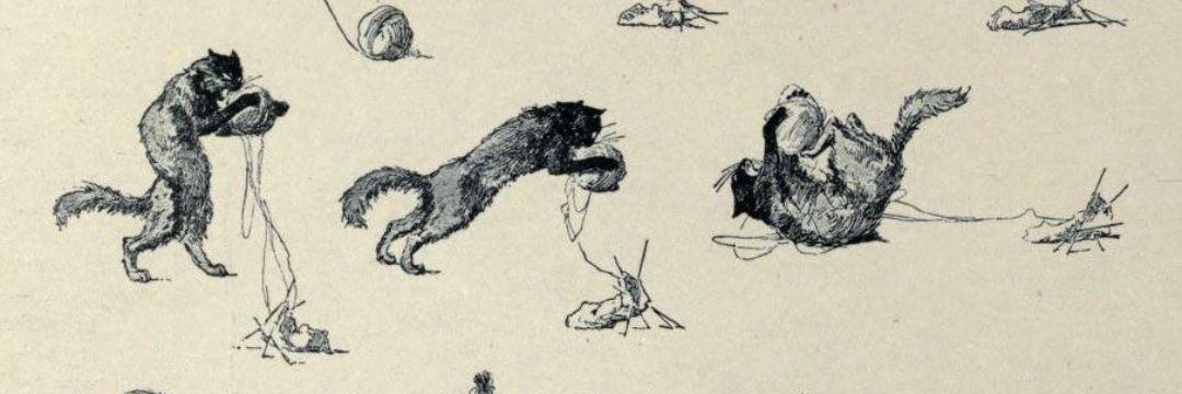 Clare Tasker banner