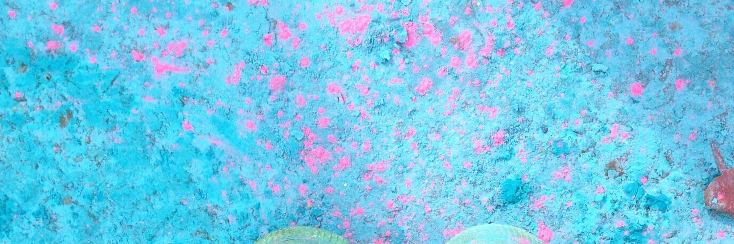 PoppysmicBlog's profile banner image