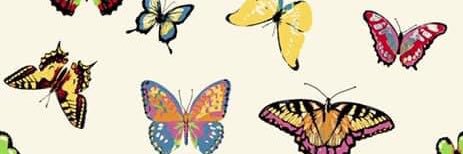 _AlexisWallace's profile banner image