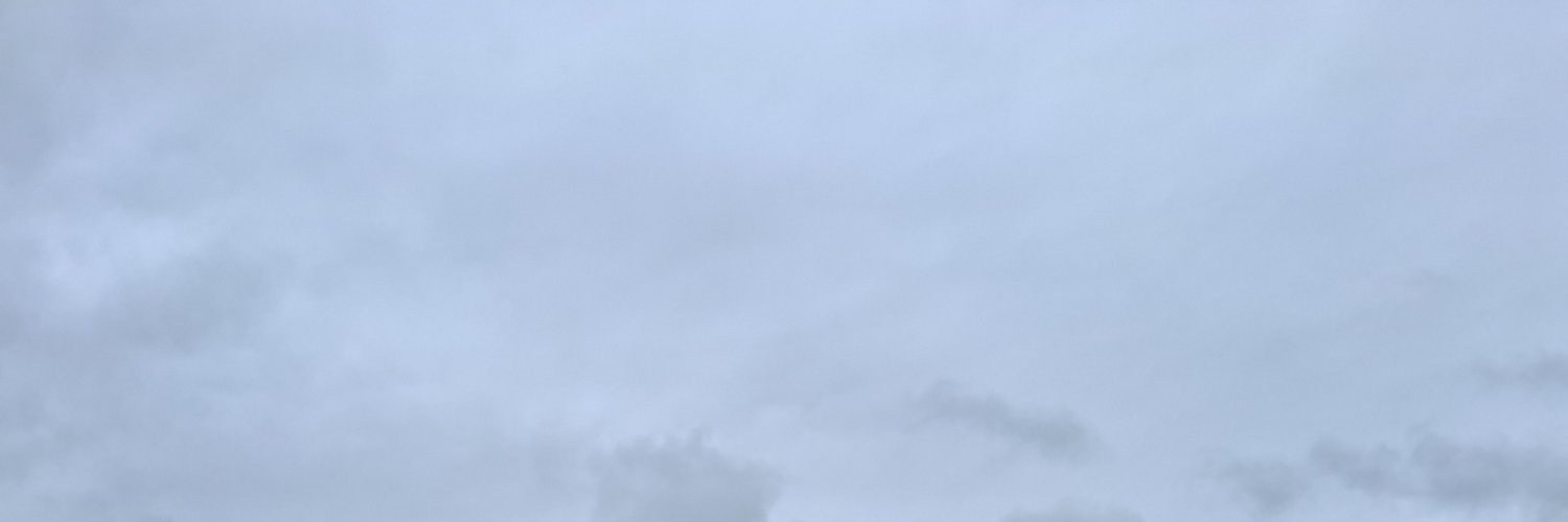 StingerOwner's profile banner image