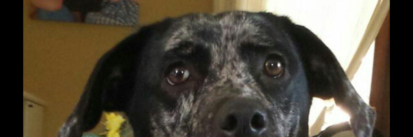 jle92's profile banner image