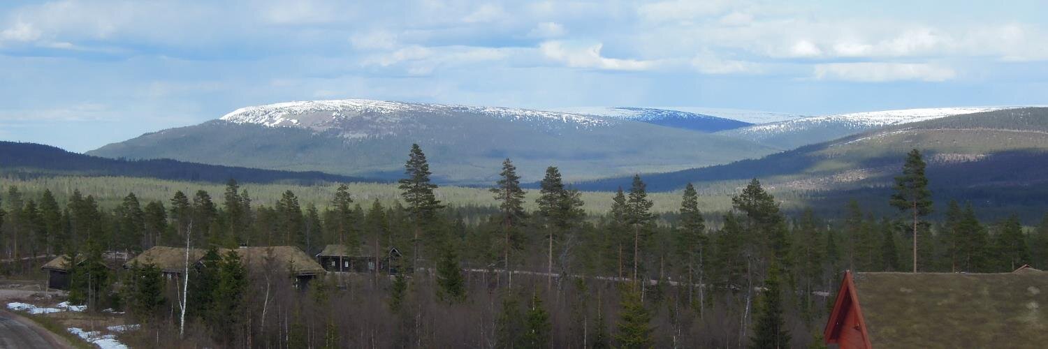 bjonnbekkmora's profile banner image