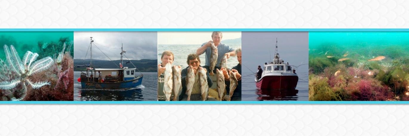 ReviveTheClyde's profile banner image