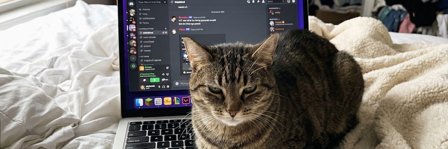 sofdusk45's profile banner image
