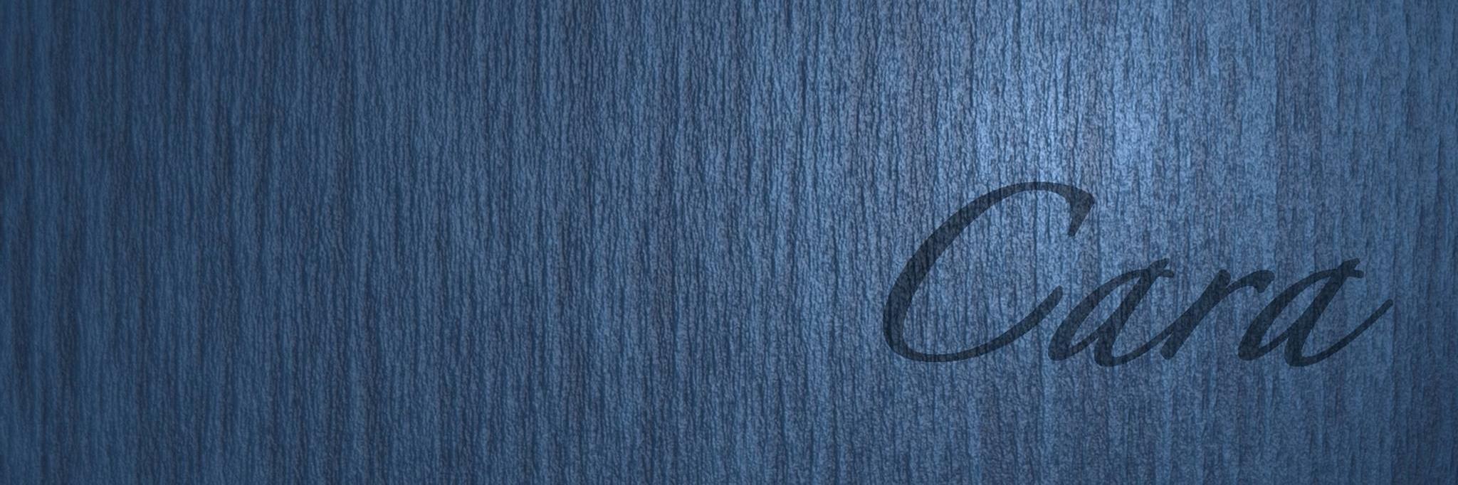 carasohn's profile banner image