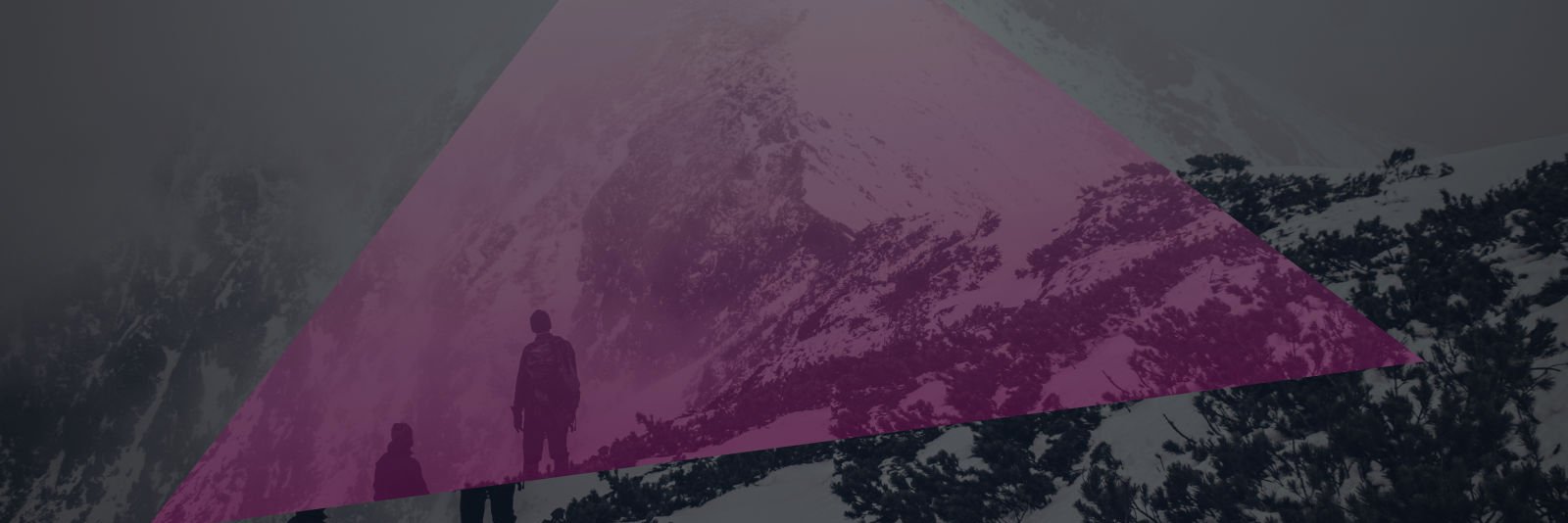 bitflowertweets's profile banner image