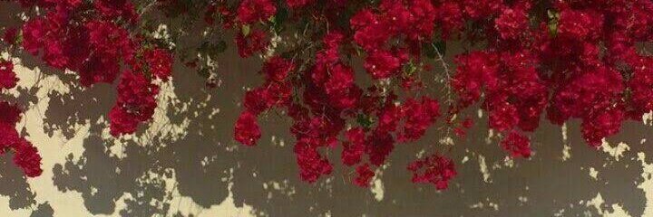 ___medine___'s profile banner image