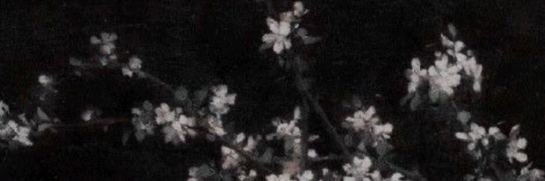 choocolade's profile banner image