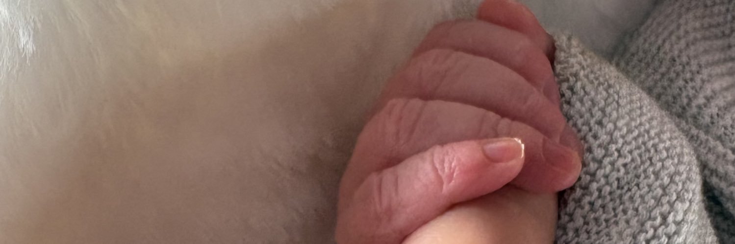 soᴍʙʀᴇ ғᴅᴘ banner