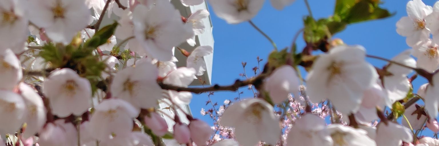 es200244's profile banner image