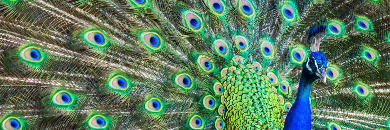 VBDO's profile banner image