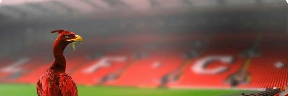 stueybox's profile banner image