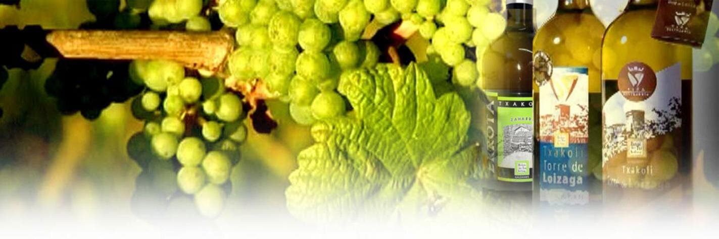 BodegasGaldames's profile banner image