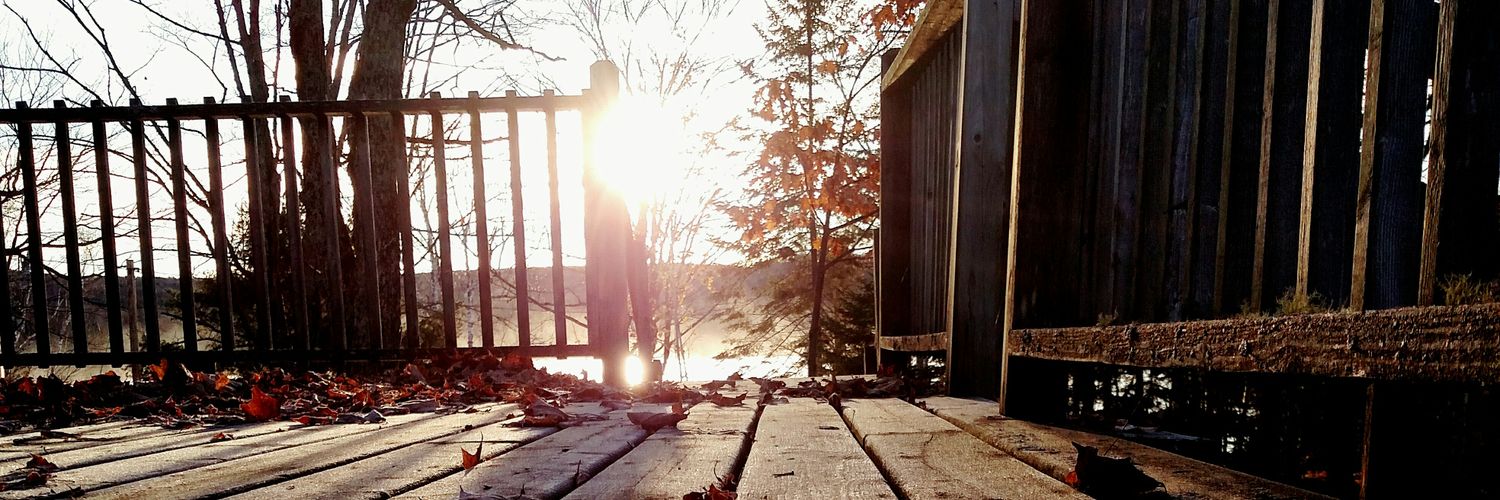 Todd Buckingham, Ph.D. banner