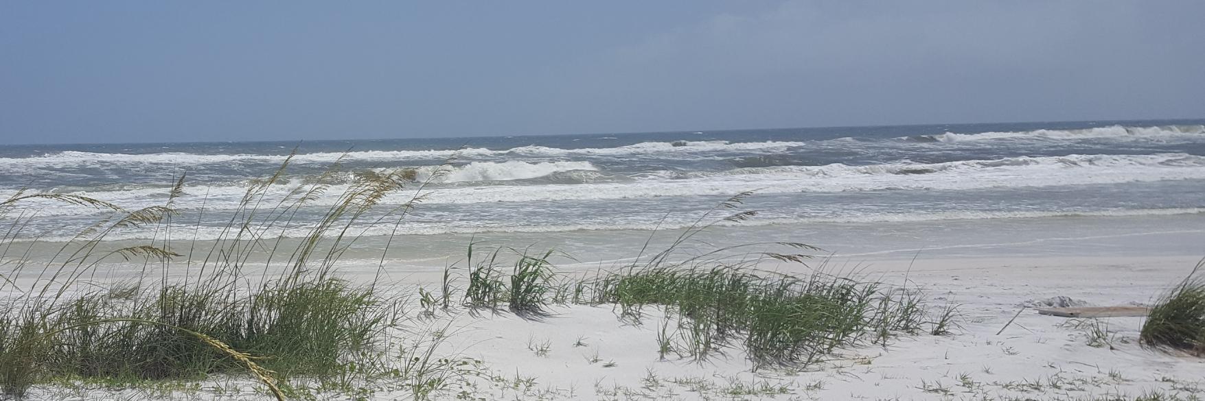 DocAlBeachy's profile banner image