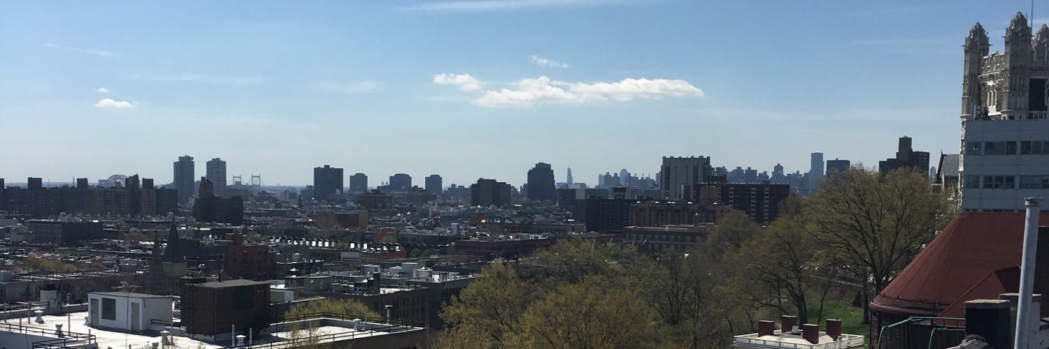 RyanHarlemite's profile banner image