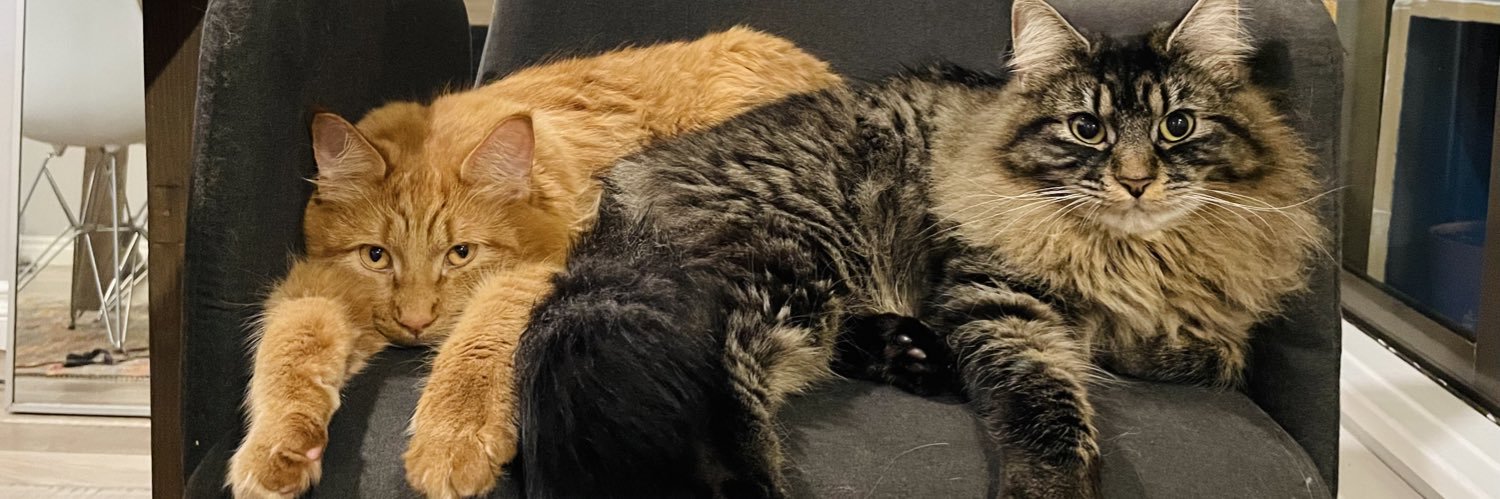 You’re on X too much. banner