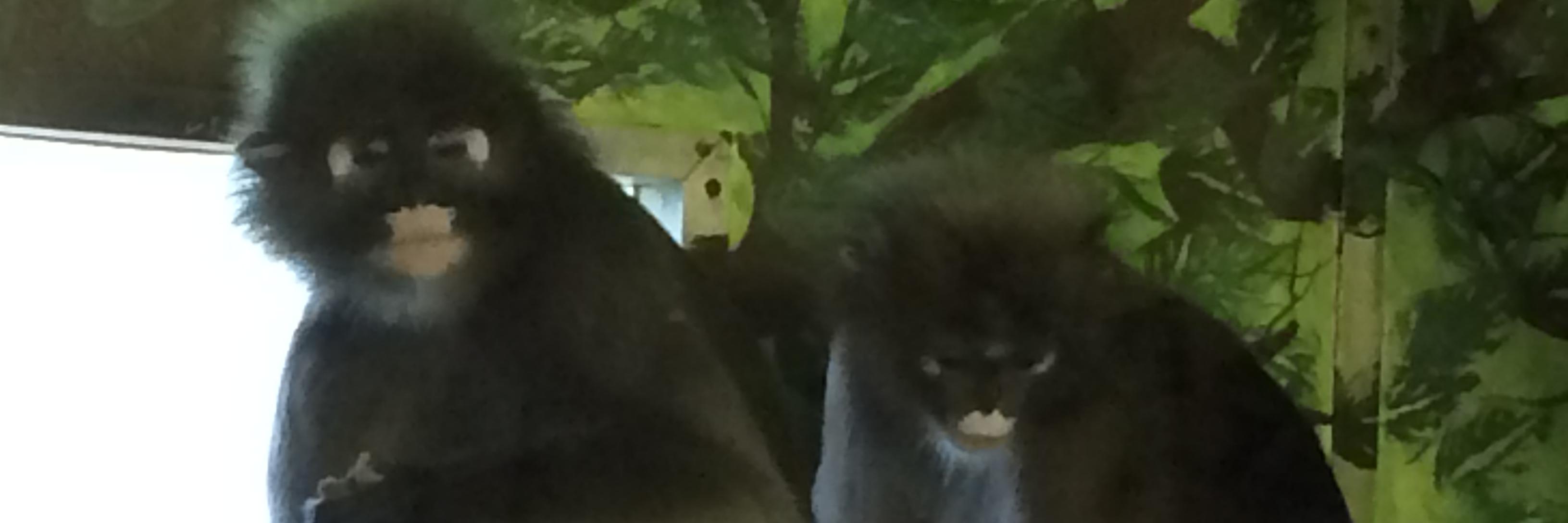 StuartRyder4's profile banner image