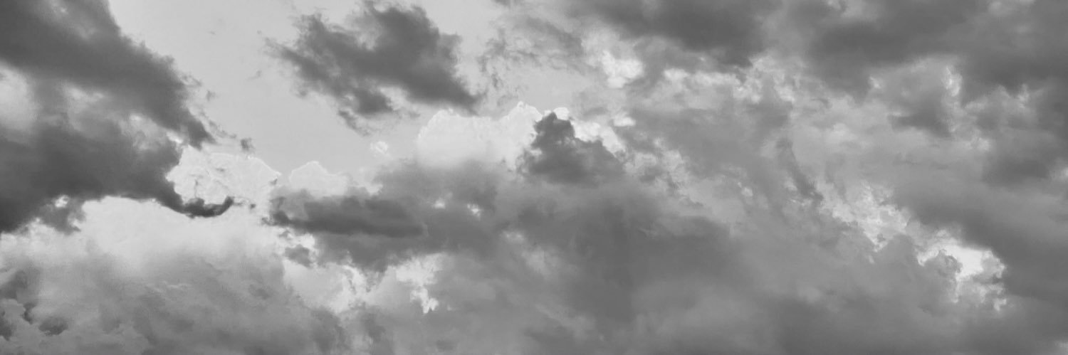 alisaadsaidl's profile banner image
