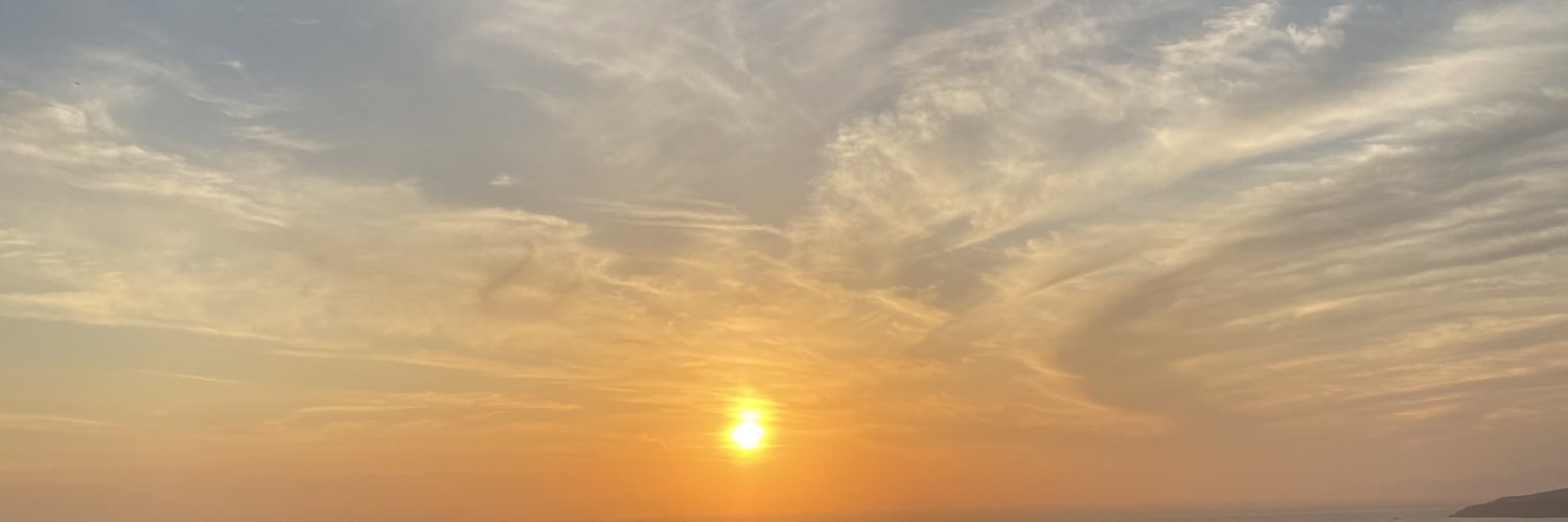 L banner