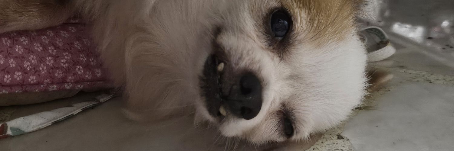 Fujisawa Loser banner