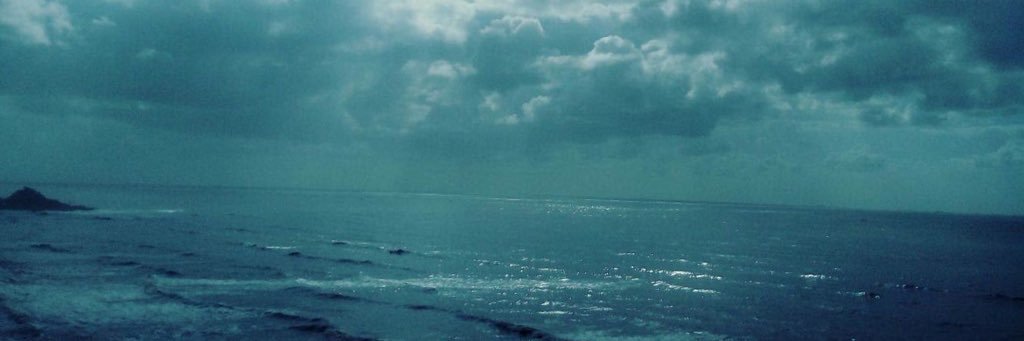 _Lariireis's profile banner image