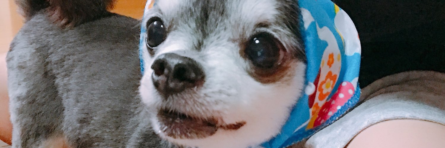 pono_24's profile banner image