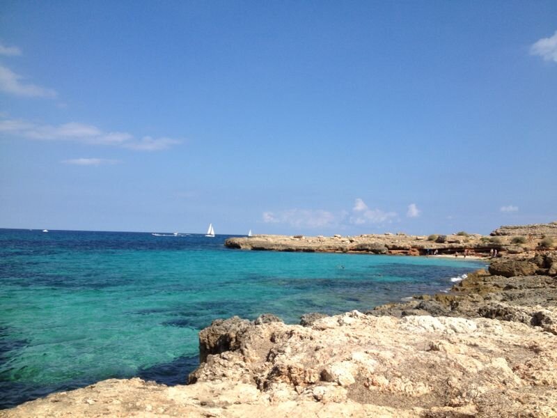 alfonsdelmar's profile banner image