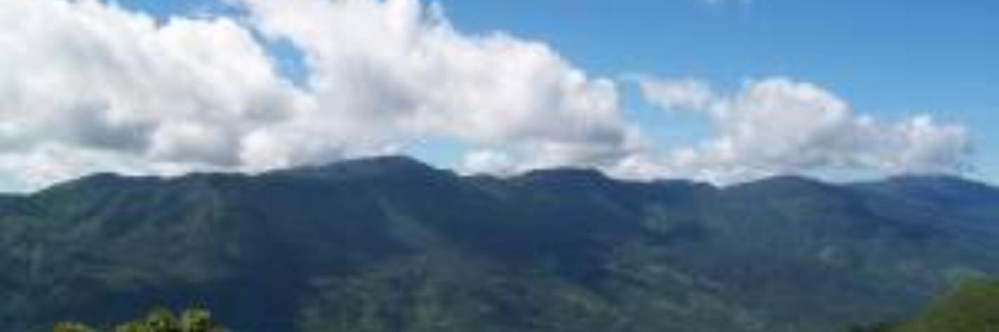 trimer_nk's profile banner image