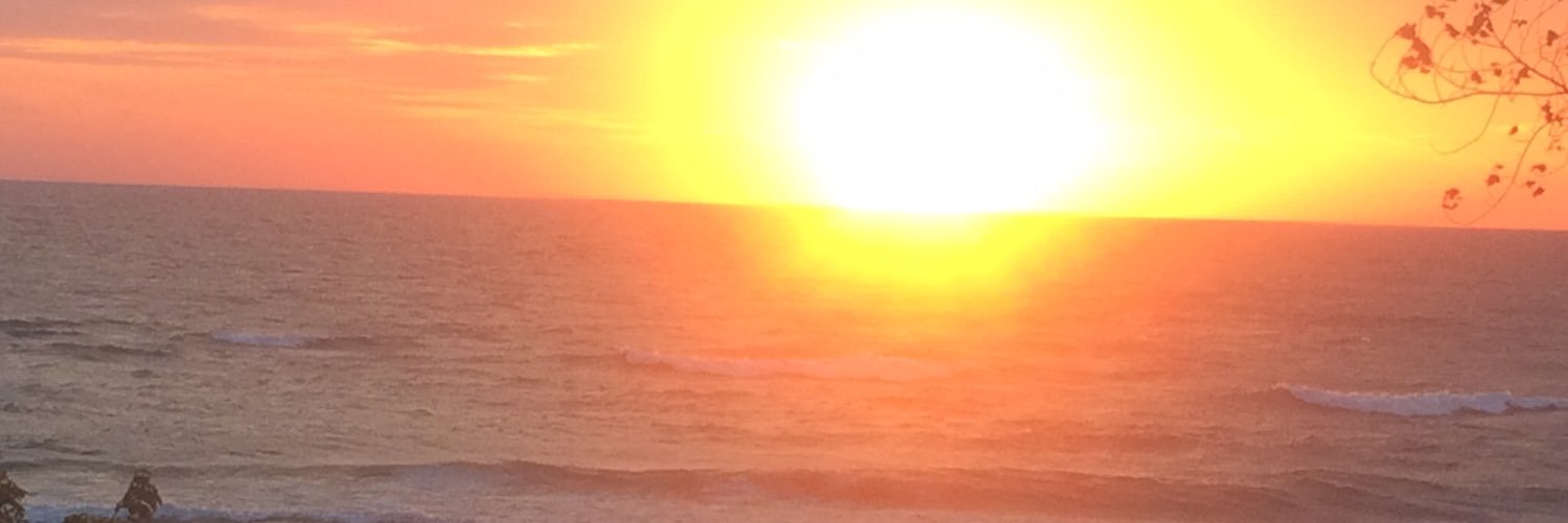 Ryan Lebster banner