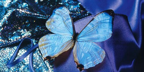 Jenndfly's profile banner image