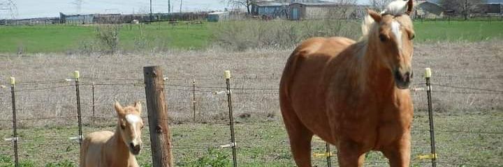 candywilcox56's profile banner image