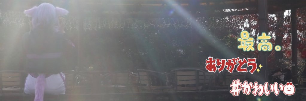 fryan_doll's profile banner image
