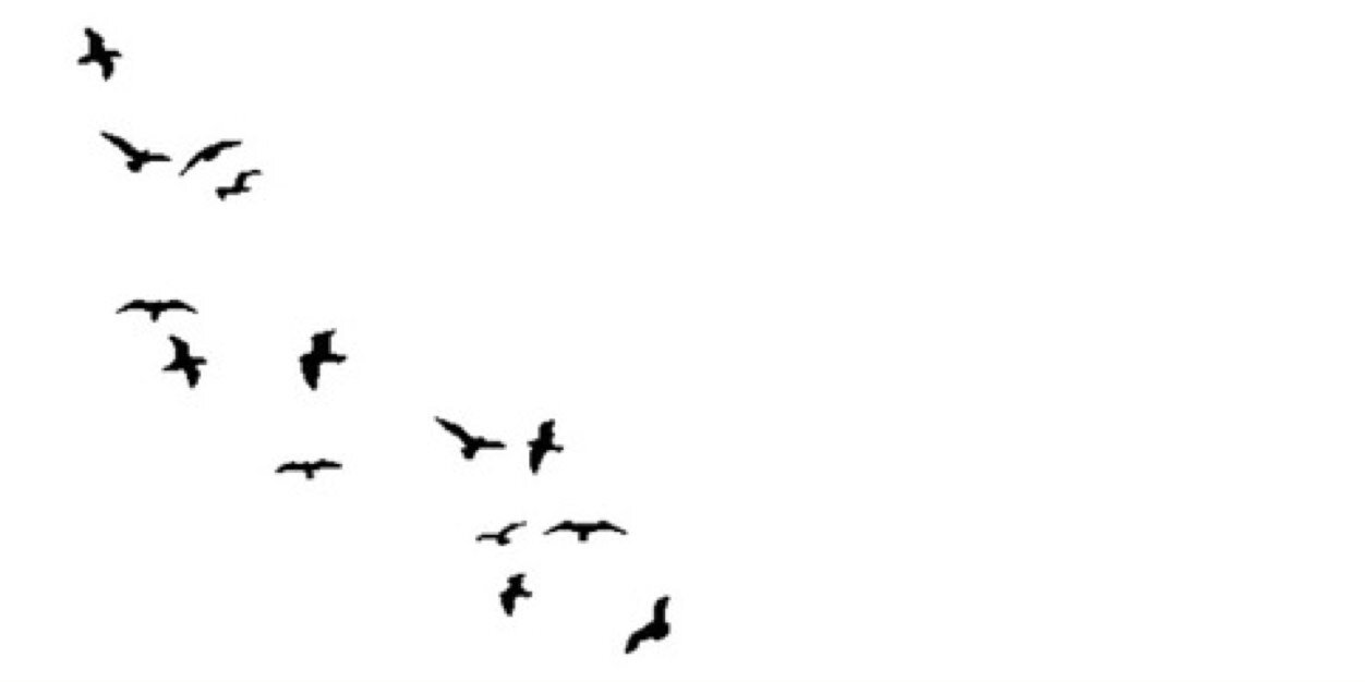 LucyRPGCT's profile banner image