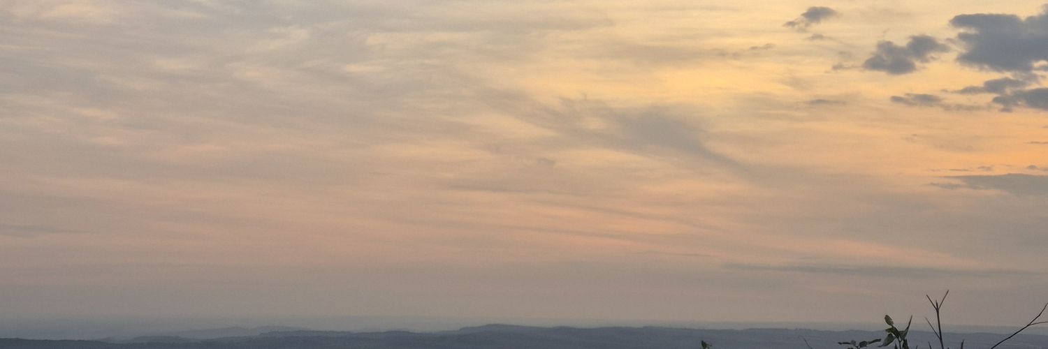 anofrior's profile banner image