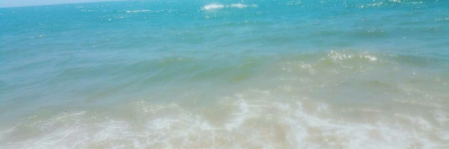mariamgoncar's profile banner image