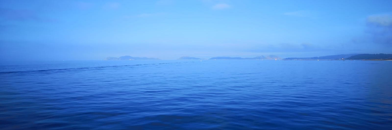 Samuelson banner
