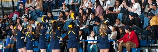 Pace_Cheer's profile banner image