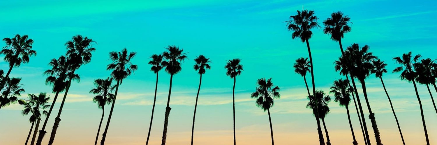 Random American 🇺🇸 🦅 banner