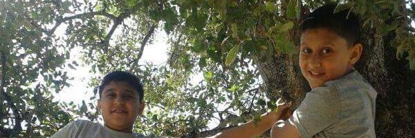 ramezmuh's profile banner image