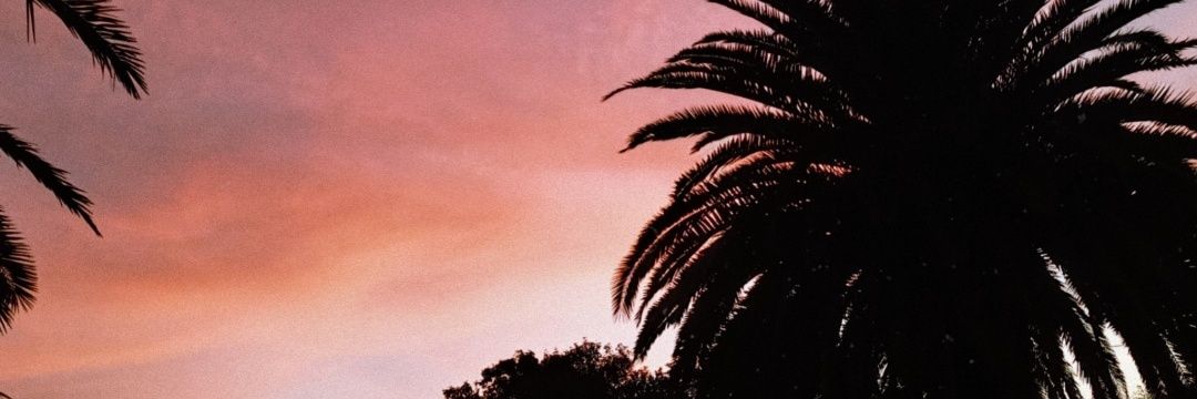 mickymurua's profile banner image