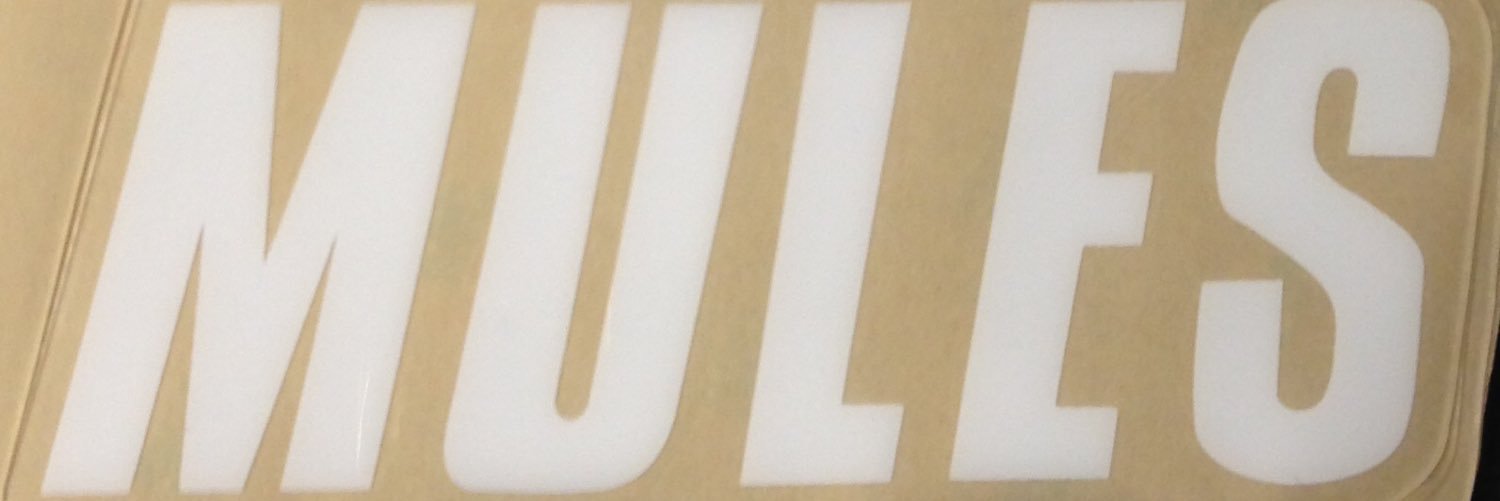 MulesWon's profile banner image