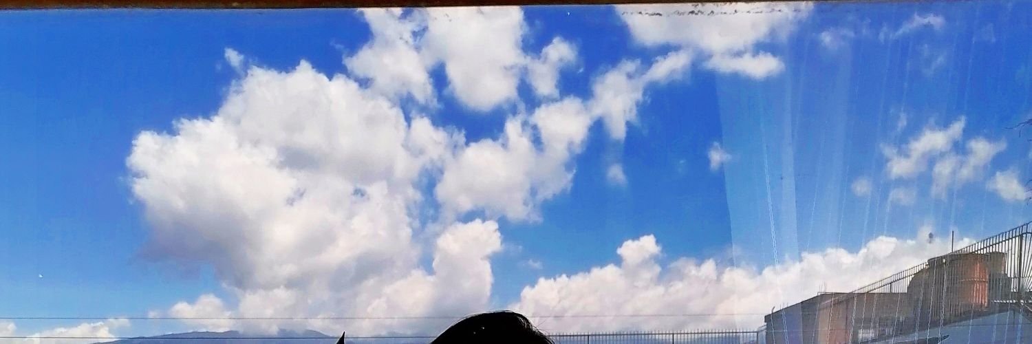 Uzaamaa's profile banner image