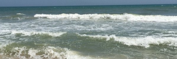 tlfasick Profile Banner