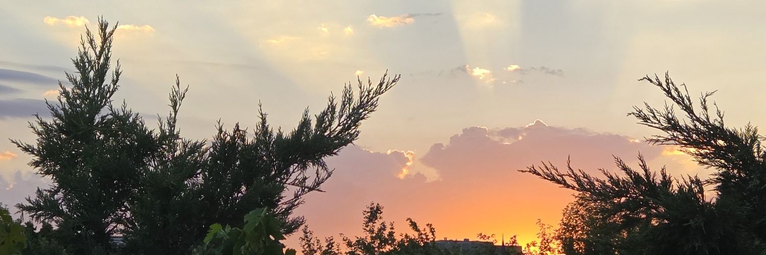 erkanppc's profile banner image