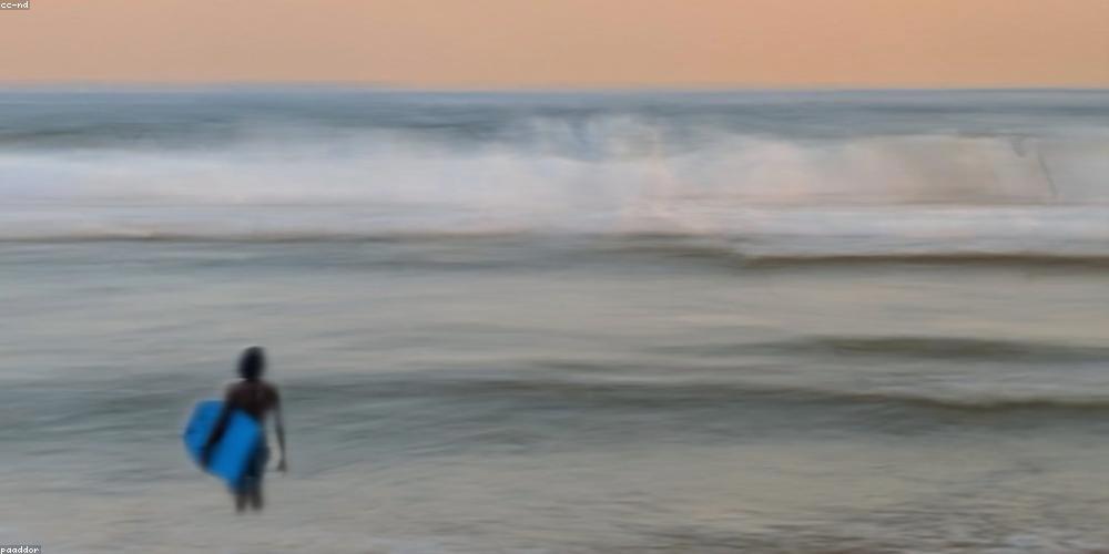 SitnaBee's profile banner image